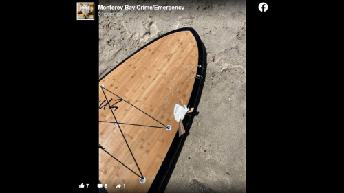 Shark bites paddleboard, sending man and his dog into ocean, California cops say
