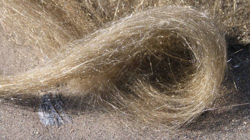 As Mauna Loa erupts, Hawaii officials warn of ‘Pele’s Hair.’ What is it?
