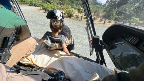 7-year-old bitten by rattlesnake while visiting state park with family, CA officials say