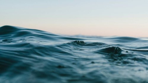 Mama sea creature and baby seen off Massachusetts coast. See ‘happy surprise’