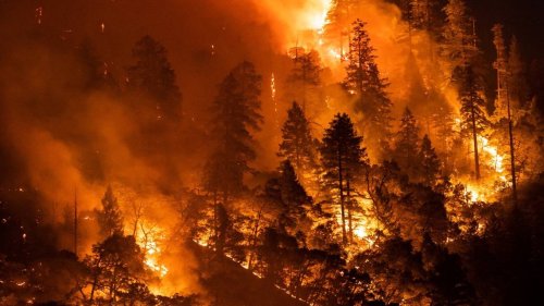 PG&E’s ‘excessively delayed response’ worsened Dixie Fire spread, Cal Fire report claims