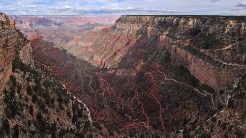 More than 220 Grand Canyon tourists sickened with norovirus on trips, the CDC says