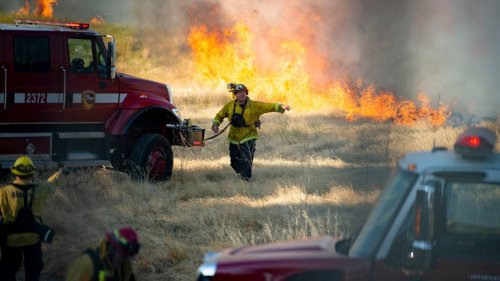 Sacramento suburbs have some of the highest wildfire risk in California, new report shows