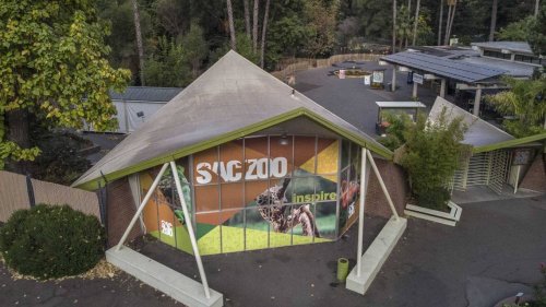 ‘Unique, adult-only’ happy hour in Sacramento lets you hang with zoo animals