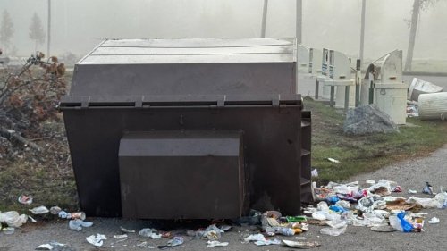 Yellowstone grizzly killed after flipping 800-pound dumpsters in hunt for food