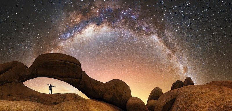 namibia safari tour cover image