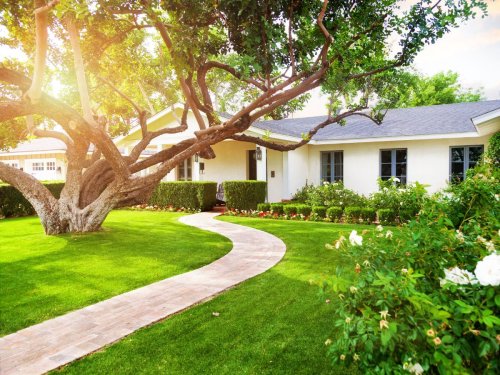 Why Your Yard is a Tick Magnet (and How to Fix It)