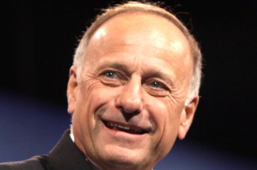 Steve King wants to save the Constitution from gay marriage — by ignoring the Constitution