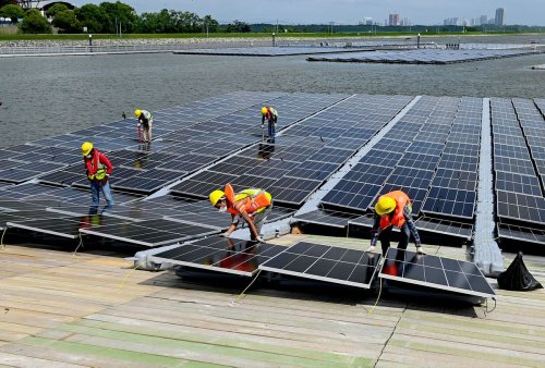 Green jobs are booming, but too few employees have sustainability skills to fill them