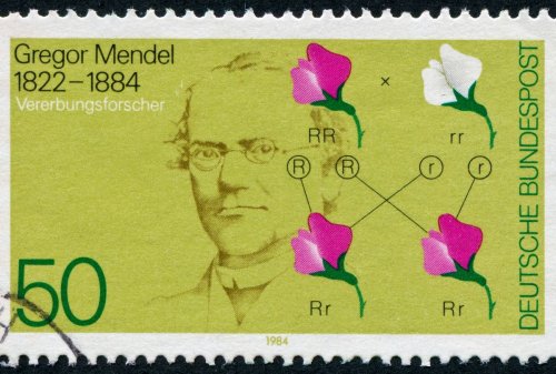 Gregor Mendel, father of genetics, couldn't get anyone to listen to him — but he got the last laugh