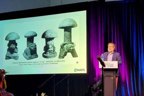 Can mushroom-capitalism save us from an existential crisis?