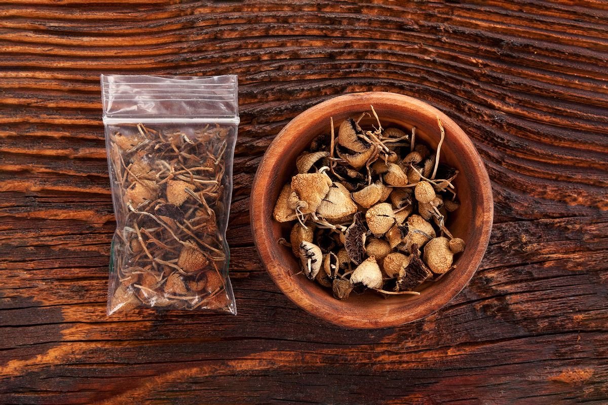 In defiance of federal drug law, mushroom dispensaries are popping up across North America