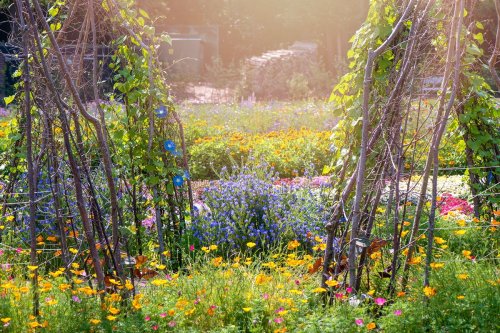 Which gardening method is best for you?