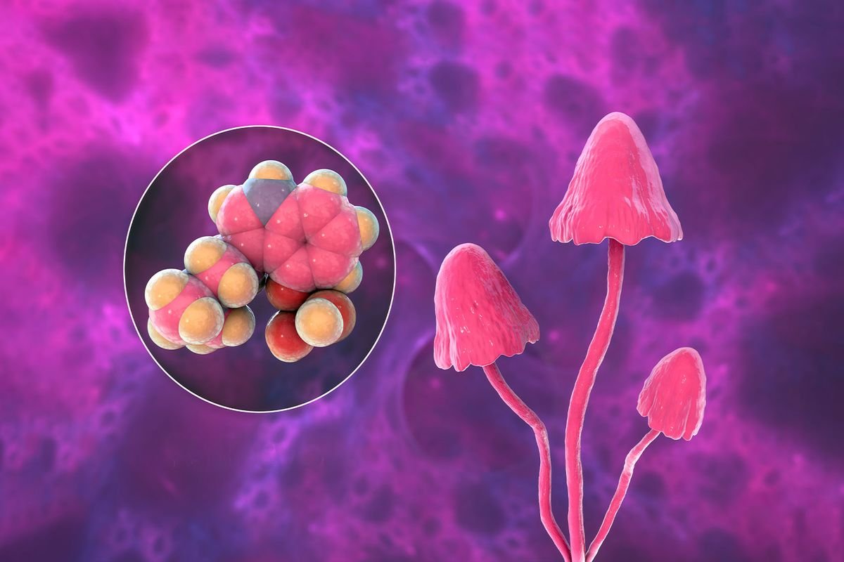 Cannabis Plus cover image