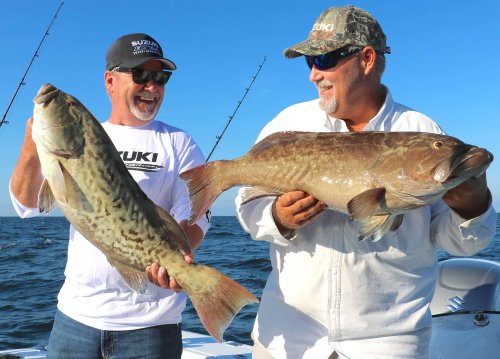 Gulf of Mexico Gag Grouper Fishing