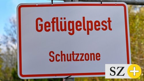 Landkreis Gifhorn meldet Fall von Geflügelpest