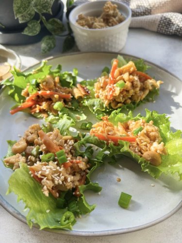 Chicken Lettuce Wraps with Peanut Sauce — Sammi Brondo | NYC based Registered Dietitian Nutritionist