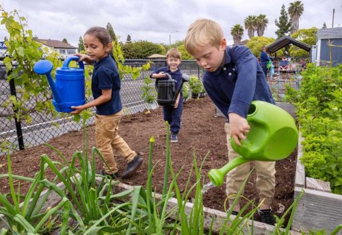 At school, these kids garden, compost and learn to save energy. The state just took notice.