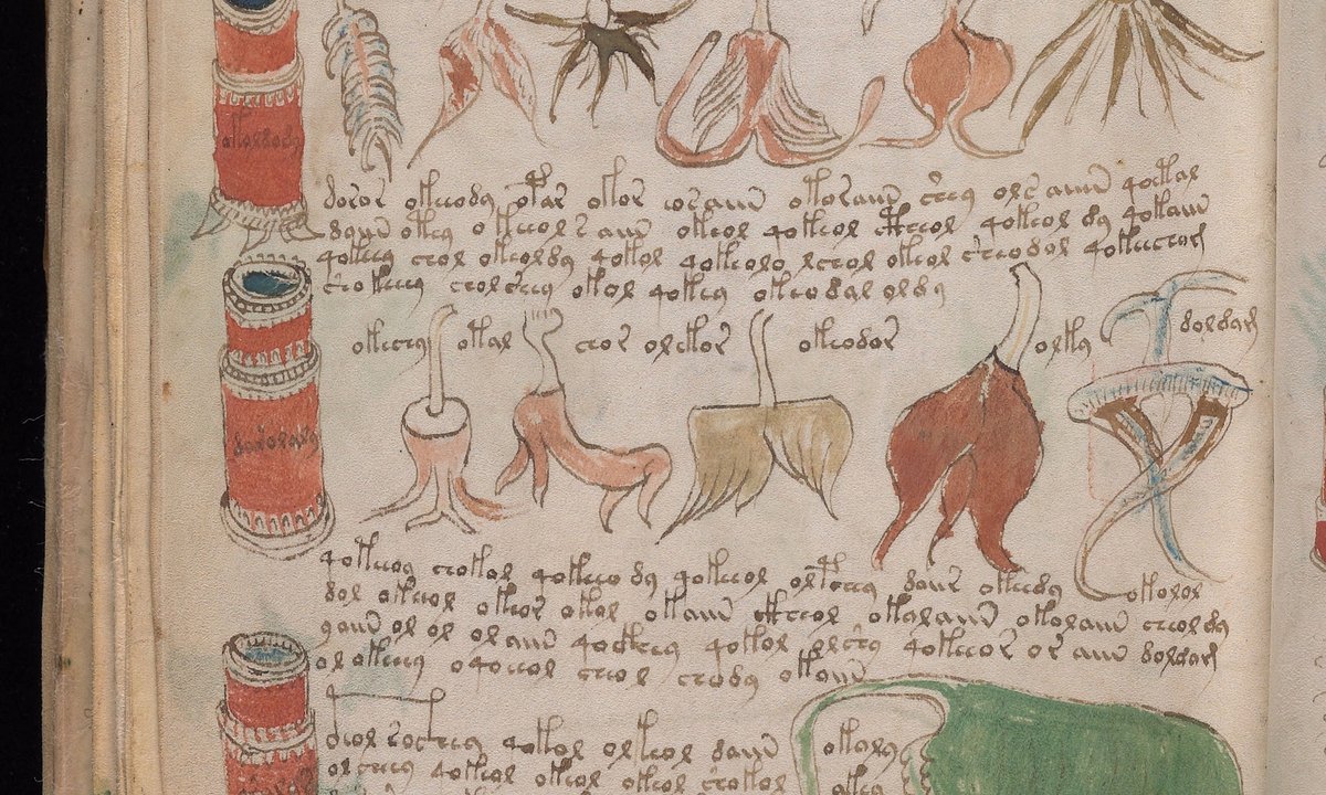 The Voynich Manuscript Revealed Five Things You Probably Did Not Know The Voynich Manuscript Revealed Five Things You Probably Did Not Know