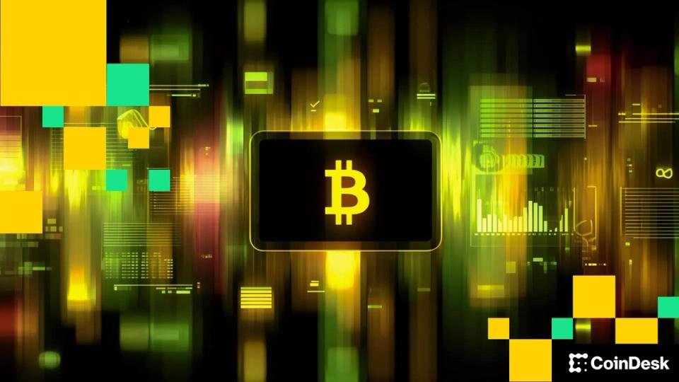 Large bitcoin investors are increasingly piling into bullish bets and cutting short positions