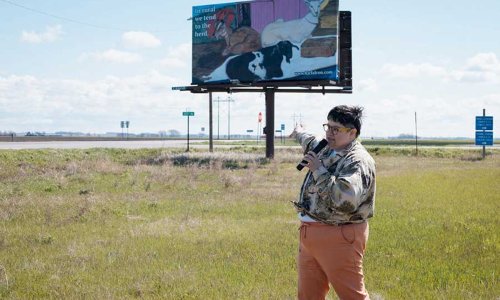 In Minnesota, a no-strings-attached cash programme for artists is gaining momentum