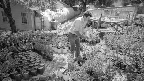 SLO County nursery has been selling native plants for 50 years. Here’s how it got started