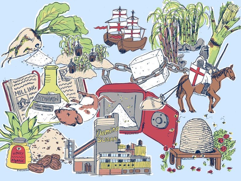 The Illustrated History of How Sugar Conquered the World
