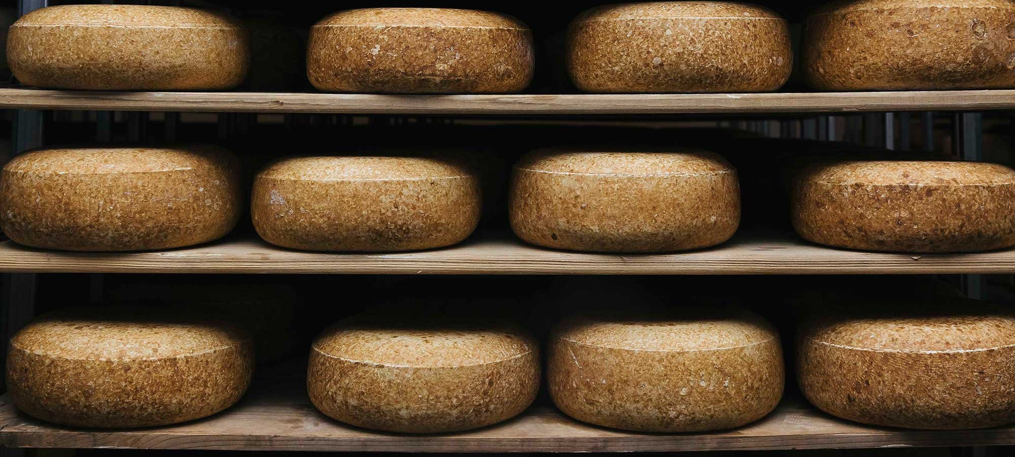 The Fresh Face of Wisconsin’s Artisan Cheese