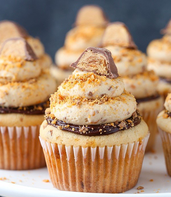 6 Moist & Fluffy Cupcakes Recipes (Favorite to Top Chefs)