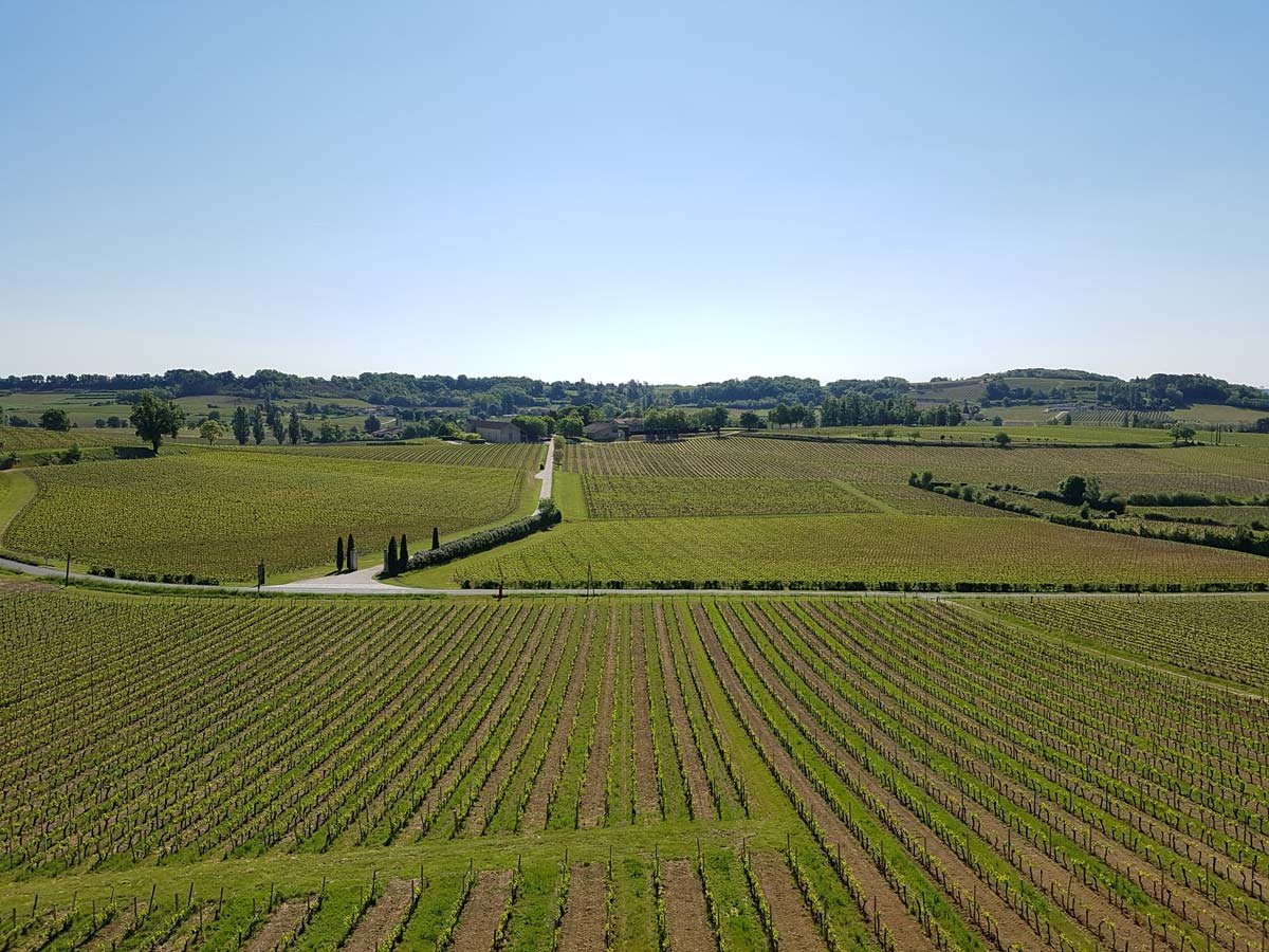 14 Top Saint-Emilion Wineries to Visit in 2023