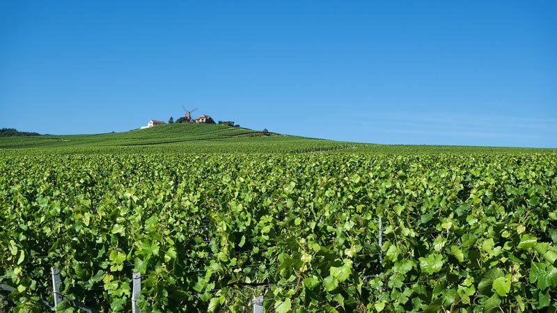 Wine-Lovers’ Guide to the Champagne Region in France