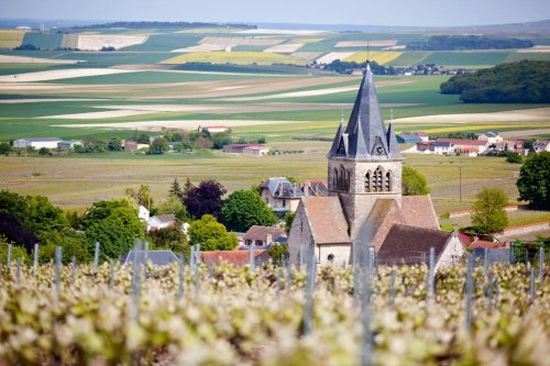 Top Champagne Tours from Paris