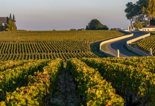 Top Medoc Wineries to Visit in Bordeaux, France