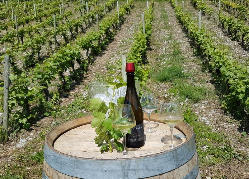 Wine Tasting in the Savoie Wine Region of France