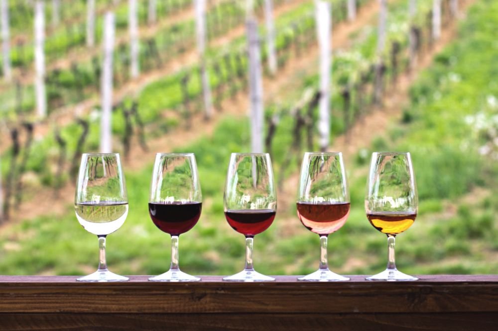 10 Great Wine Regions in the United States for a Wine Tasting Trip