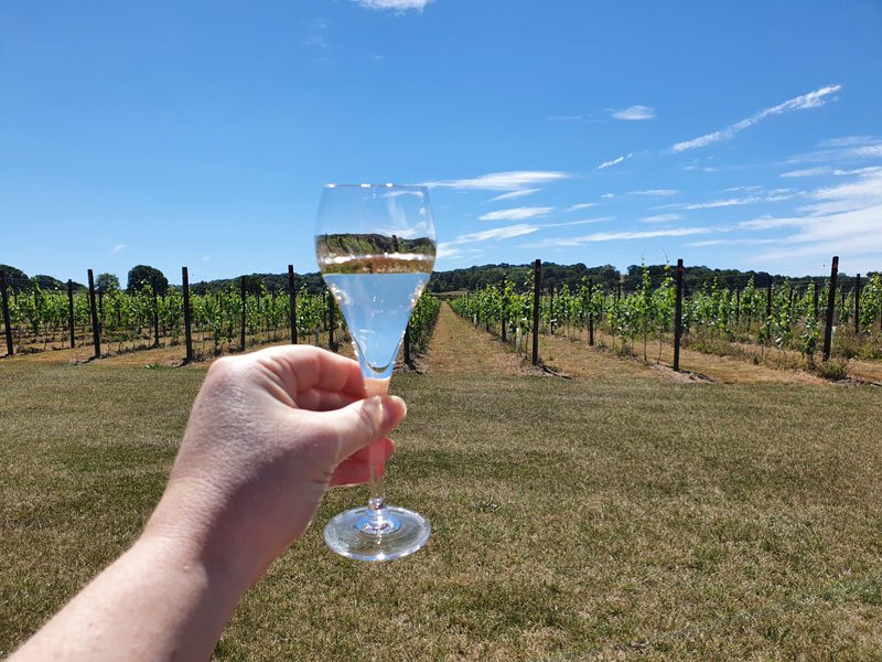 11 Wineries in England to Visit in Kent & Sussex