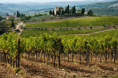 4-Day Self-Guided Wine Tasting Tour in Chianti, Italy