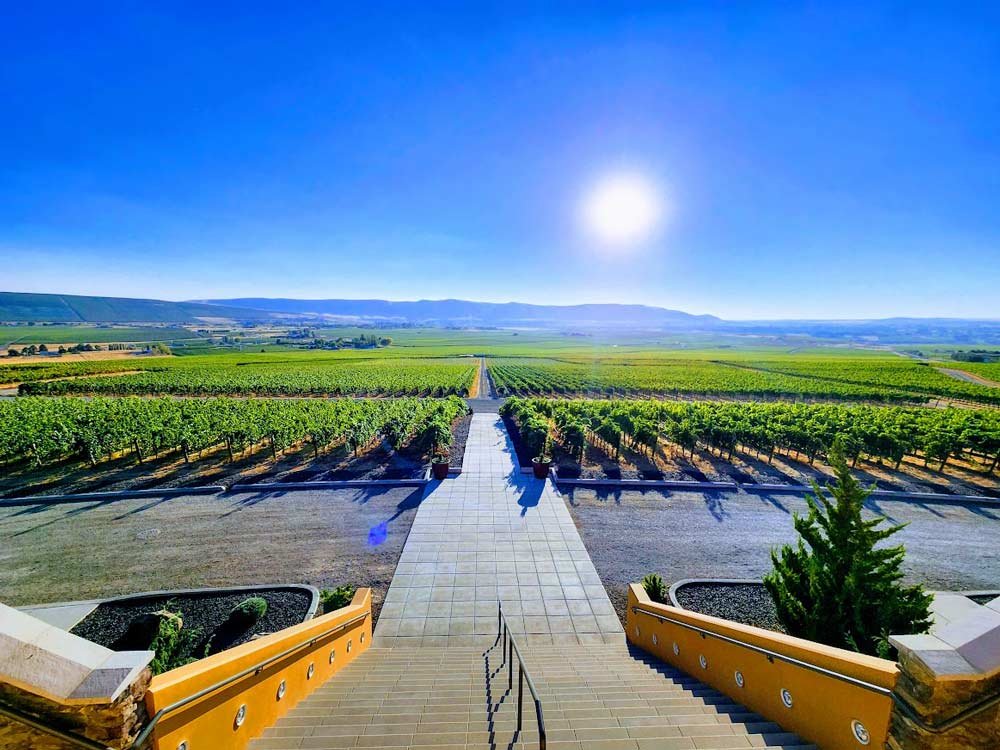9 Great Wineries to Visit in Tri-Cities, Washington