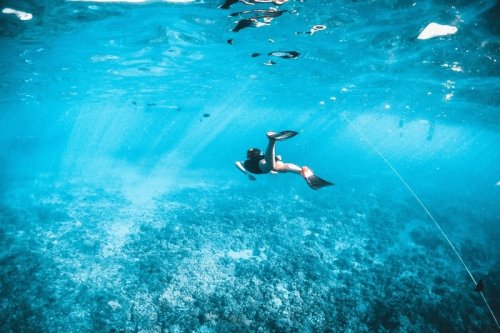 Where to Find the Best Snorkeling Spots in Maui