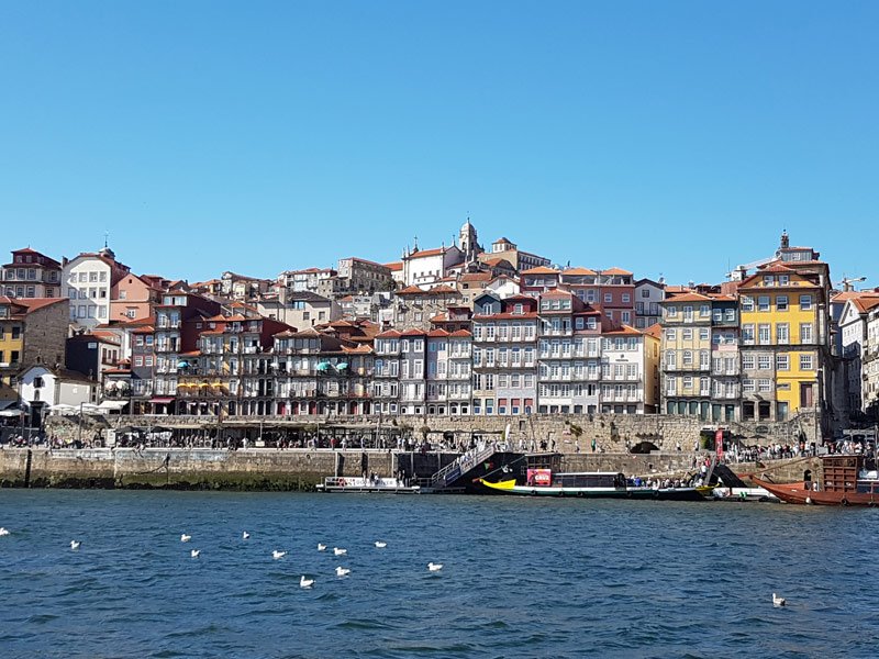 10 Fun Things to Do in Porto