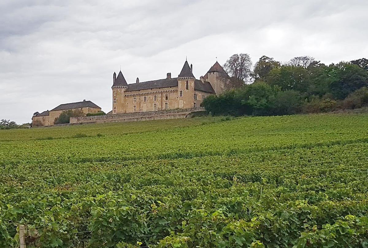 Burgundy Wine Regions: How & Where to Go Wine Tasting