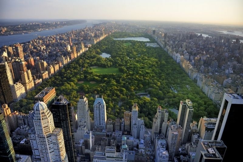 7 Fun Activities To Do in Central Park