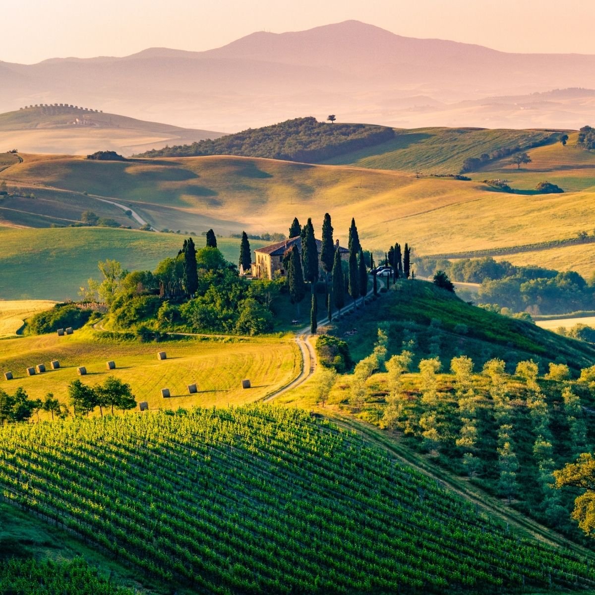 11 Must-Visit Tuscany Wineries