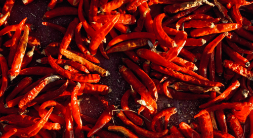 Red Hot Chilli Peppers and Thai Cuisine: It’s the Hot Chillis That Help Thai Cooking Achieve That Taste