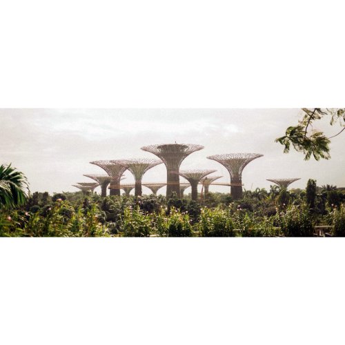 How Singapore Became Asia's Launch Pad for Sustainable Innovation & Tech