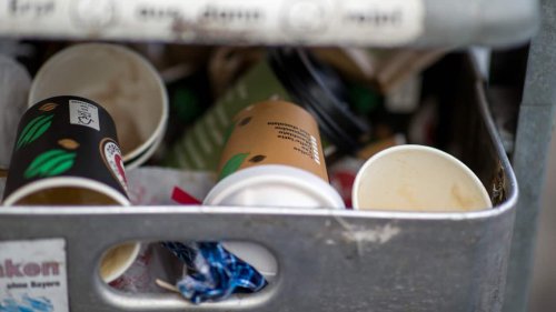 Why There s Concern This State s Ban On Plastic Takeaway Coffee Cups 