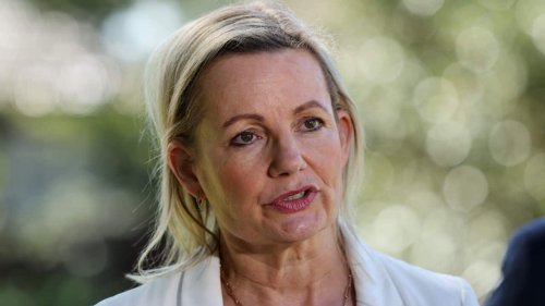 Sussan Ley becomes first female Liberal Party leader, replacing Peter Dutton