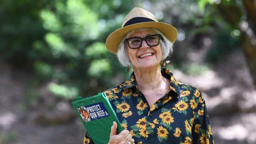 Greens MP Elizabeth Watson-Brown predicted to retain Brisbane seat