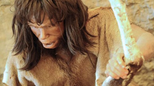 Neanderthals 'used plant-based painkillers and antibiotics'