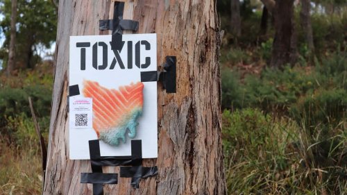 Advocates and MPs say there's something fishy about government's environment legislation